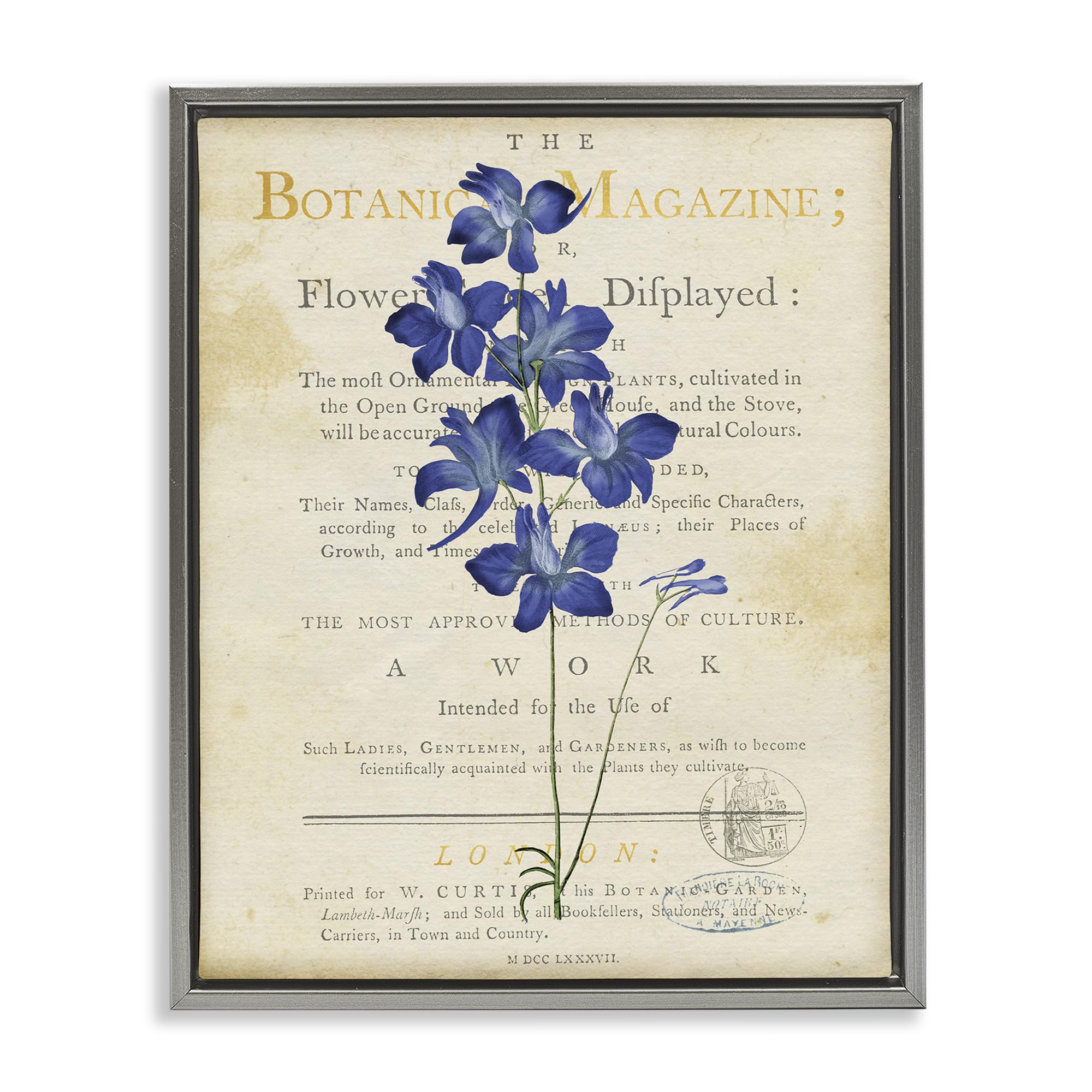Stupell Industries Luster Gray (Matte) 'Natural Botanic Garden Flower'| Floating Frame Canvas Art