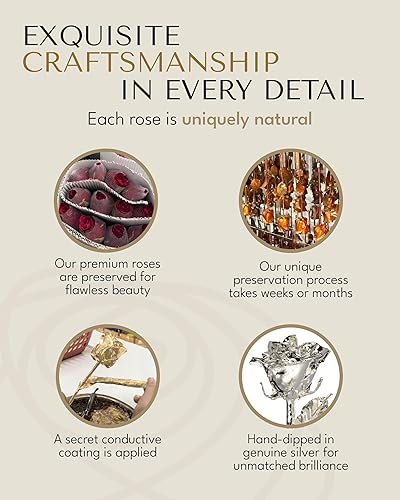 Miniatura 6 de Forever Rose Rosa real sumergida en plata, rosa preservada hecha a mano en jarrón de cristal transparente y caja de regalo dorada de lujo, regalo