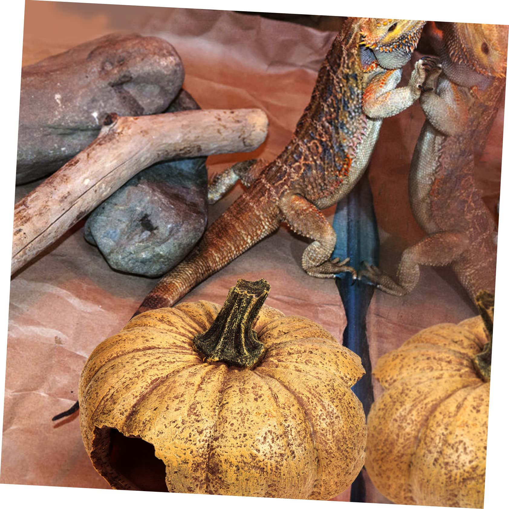 Angoily Terrario Decorativo De Calabaza para Reptiles Escondite Natural para Terrarios y Acuarios Accesorio Lifelike para y Pequeños Animales