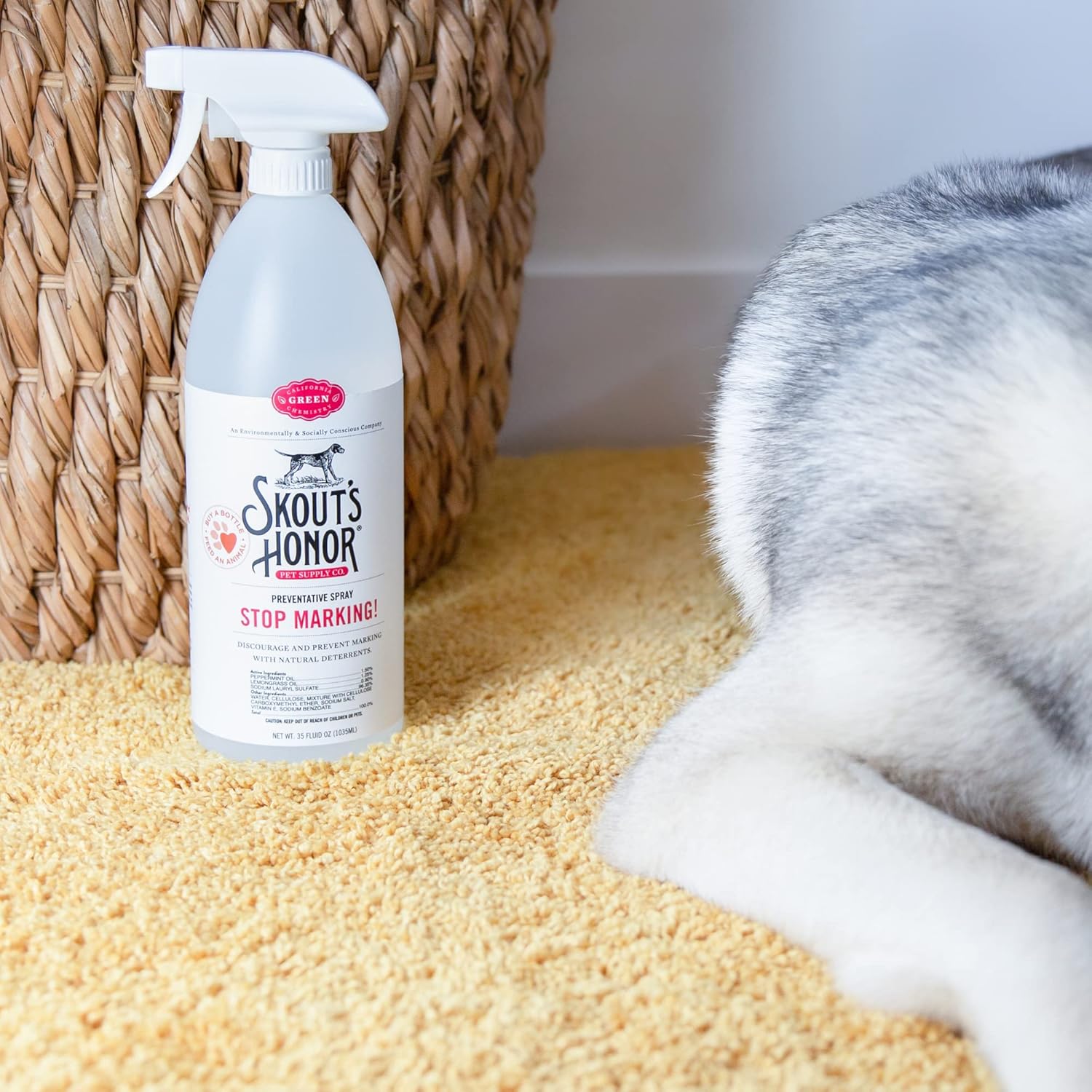 SKOUT'S HONOR: Stop Marking! Preventative Deterrent Spray for Dogs with Natural Peppermint and Lemongrass Essential Oils - 35 oz. - New : SKOUT'S HONOR : Pet Supplies