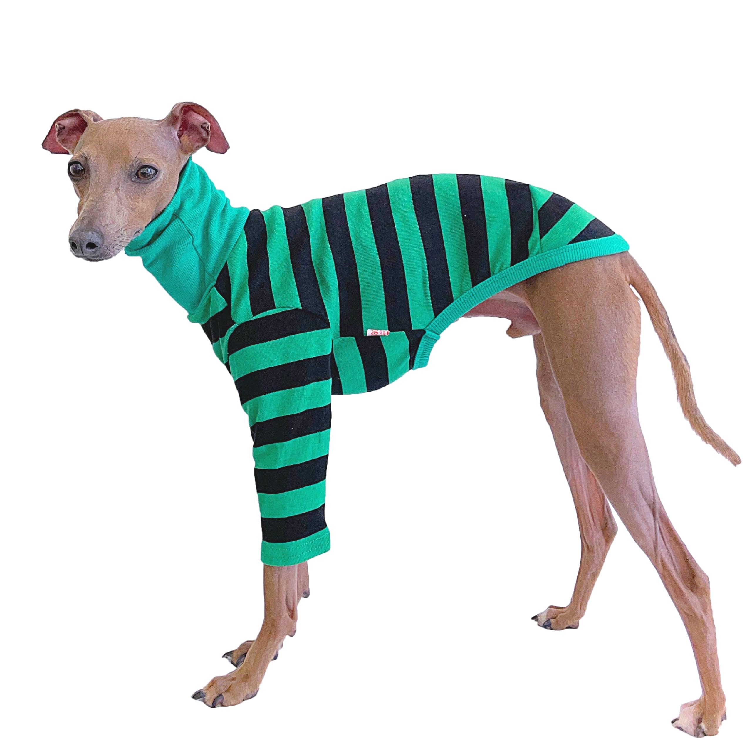 D Doggy Star Italian Greyhound Clothes Flexible T Shirts Whippet for Dogs (L,Stripe Green/Black) — image 1