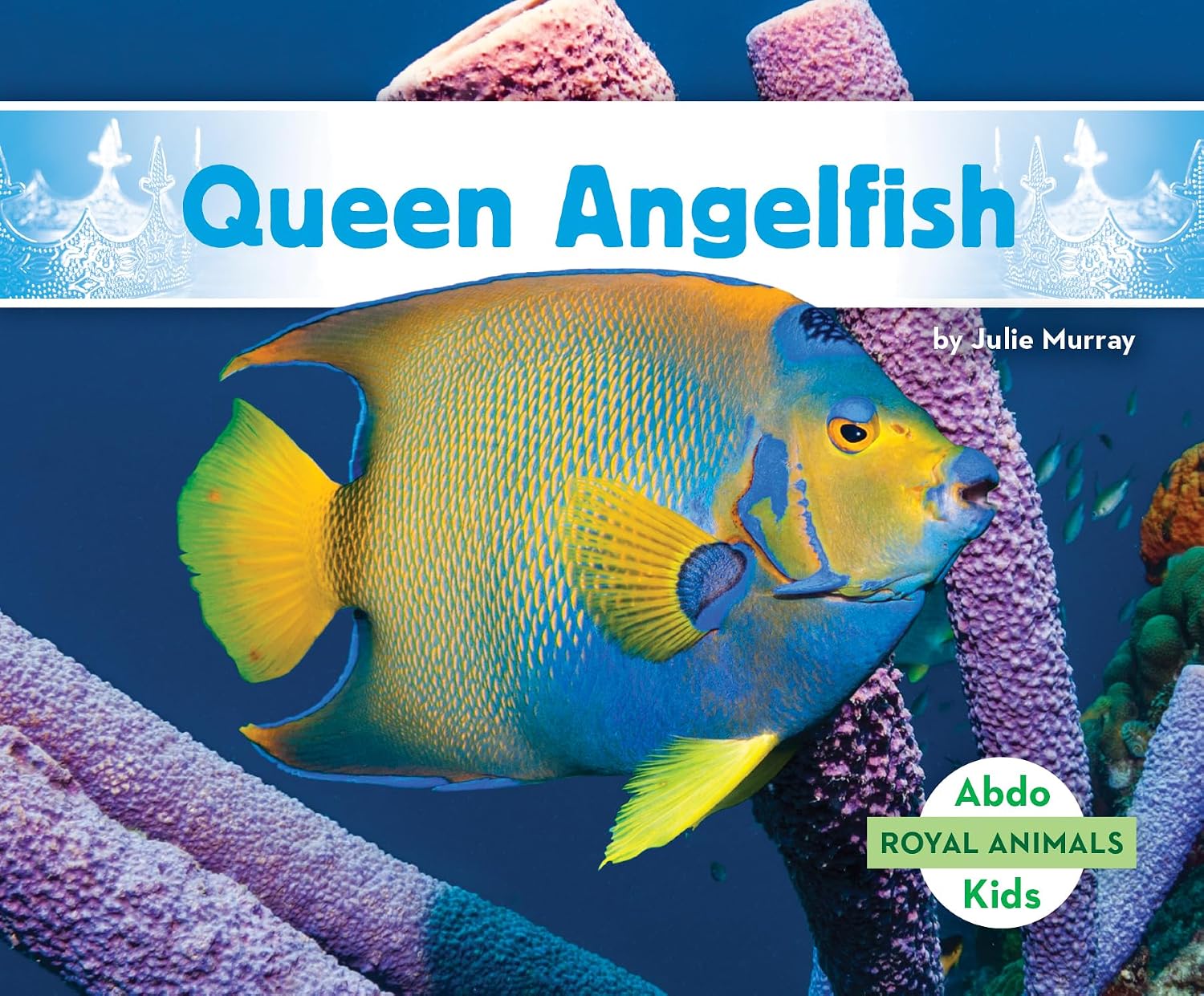 Queen Angelfish (Royal Animals)      Library Binding – December 15, 2024