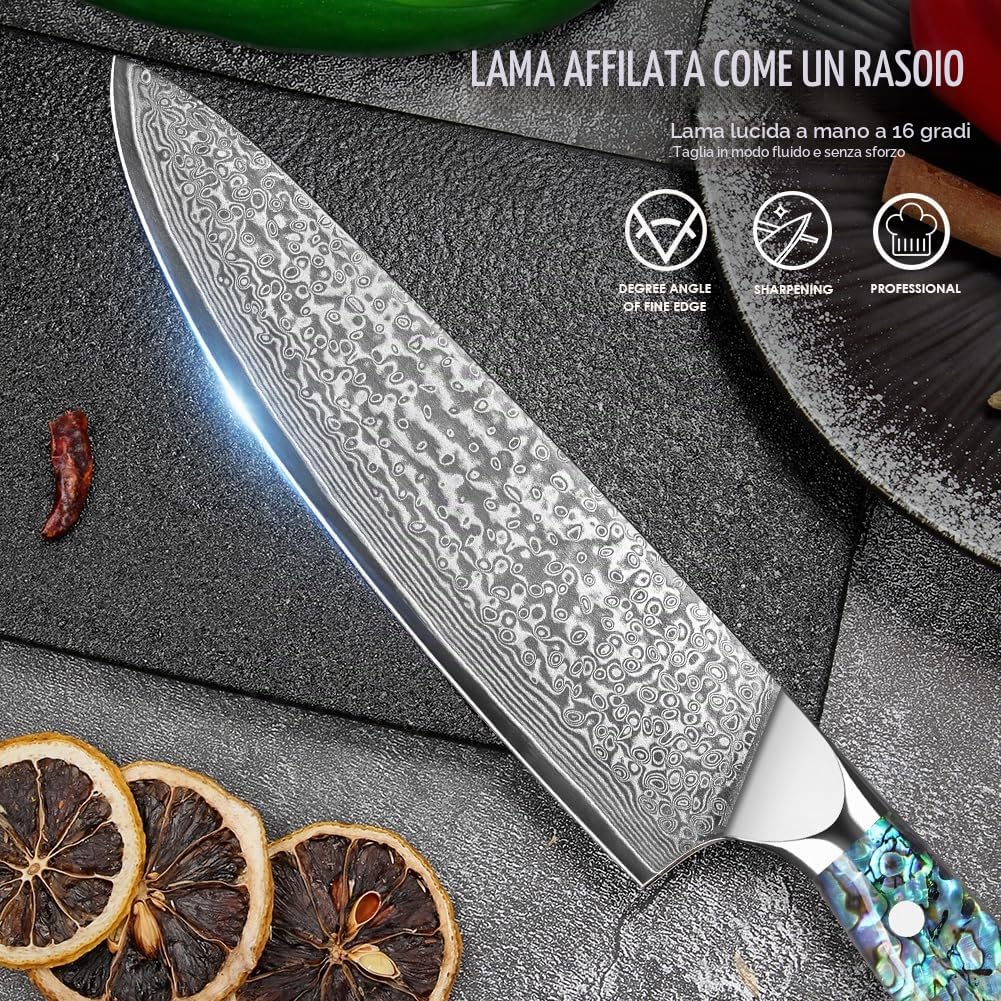 Home Safety Coltello Damasco da Chef con Lama Estremamente Affilata da 20 cm in 67 Strati di Acciaio Damasco VG-10 Coltello da Cucina Damasco da Carne, Manico in Abalone, Confezione Regalo