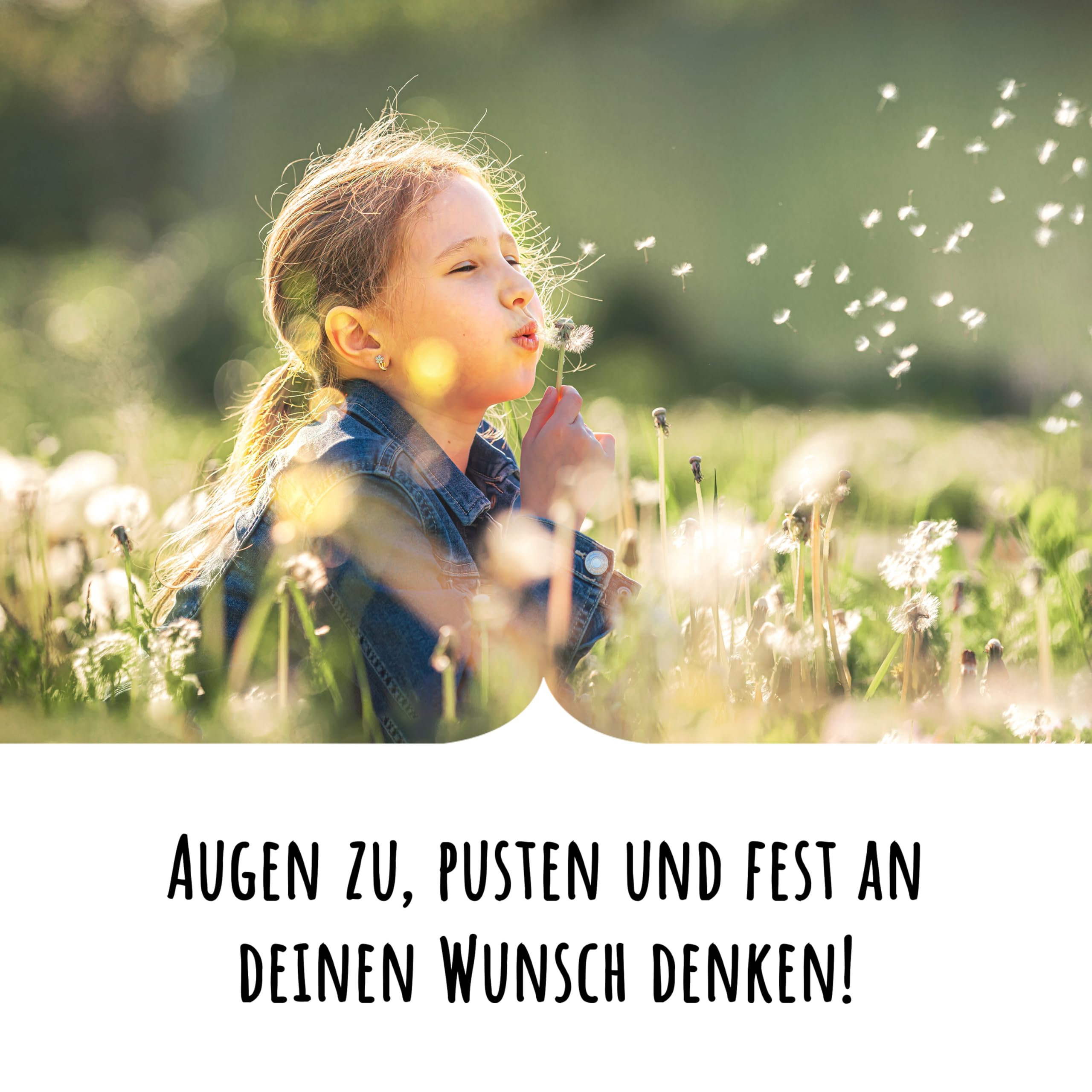 Bolson Wunscherfüller - 10x echte Pusteblume im Glas mit Geschenkbox - Wunschblume für deine Wünsche - handgefertigt in Deutschland - perfekte Geschenkidee für Geburtstag, Hochzeit, Abschluss