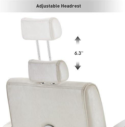 Miniatura 3 de BarberPub Silla de peluquería reclinable para estilista, resistente para peluquería, spa, salón de belleza, equipo de belleza 9180 (champán)