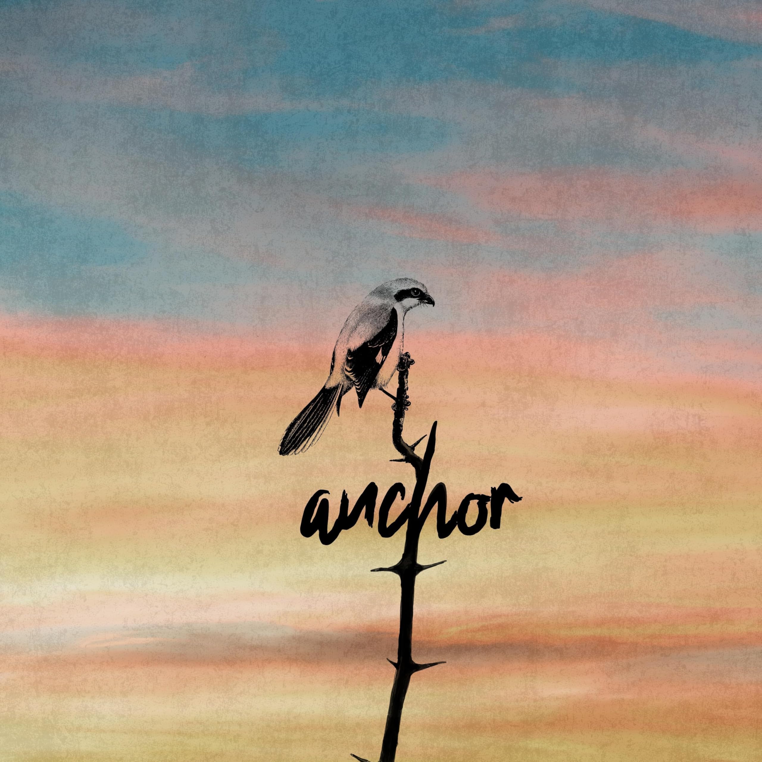 Best Noodles In Town