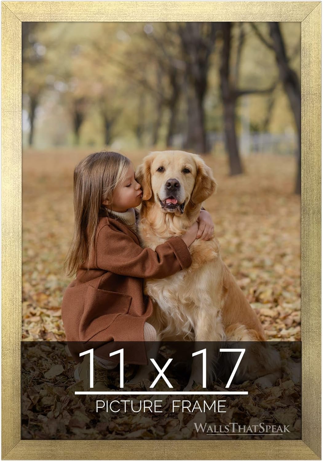 wallsthatspeak 11x17 Gold Picture Frame for Puzzles Posters Photos or Artwork