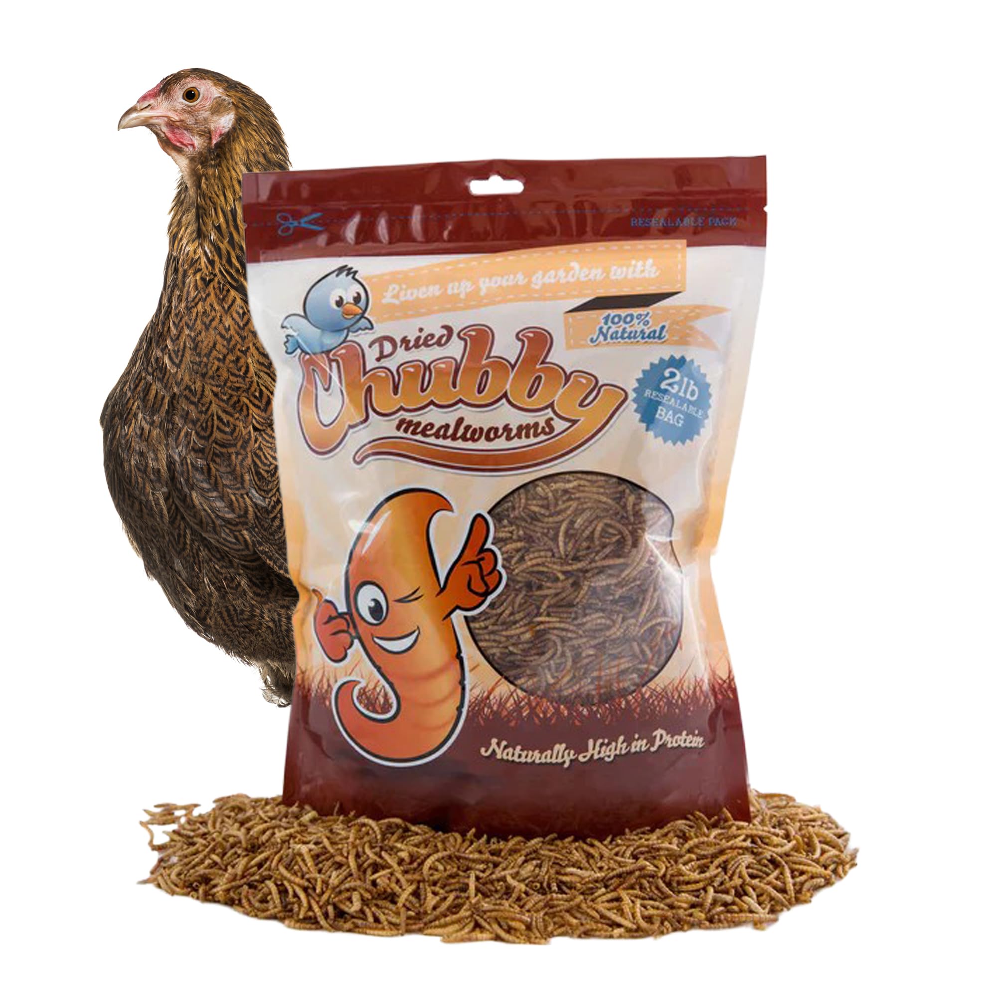 Chubby Dried Mealworms