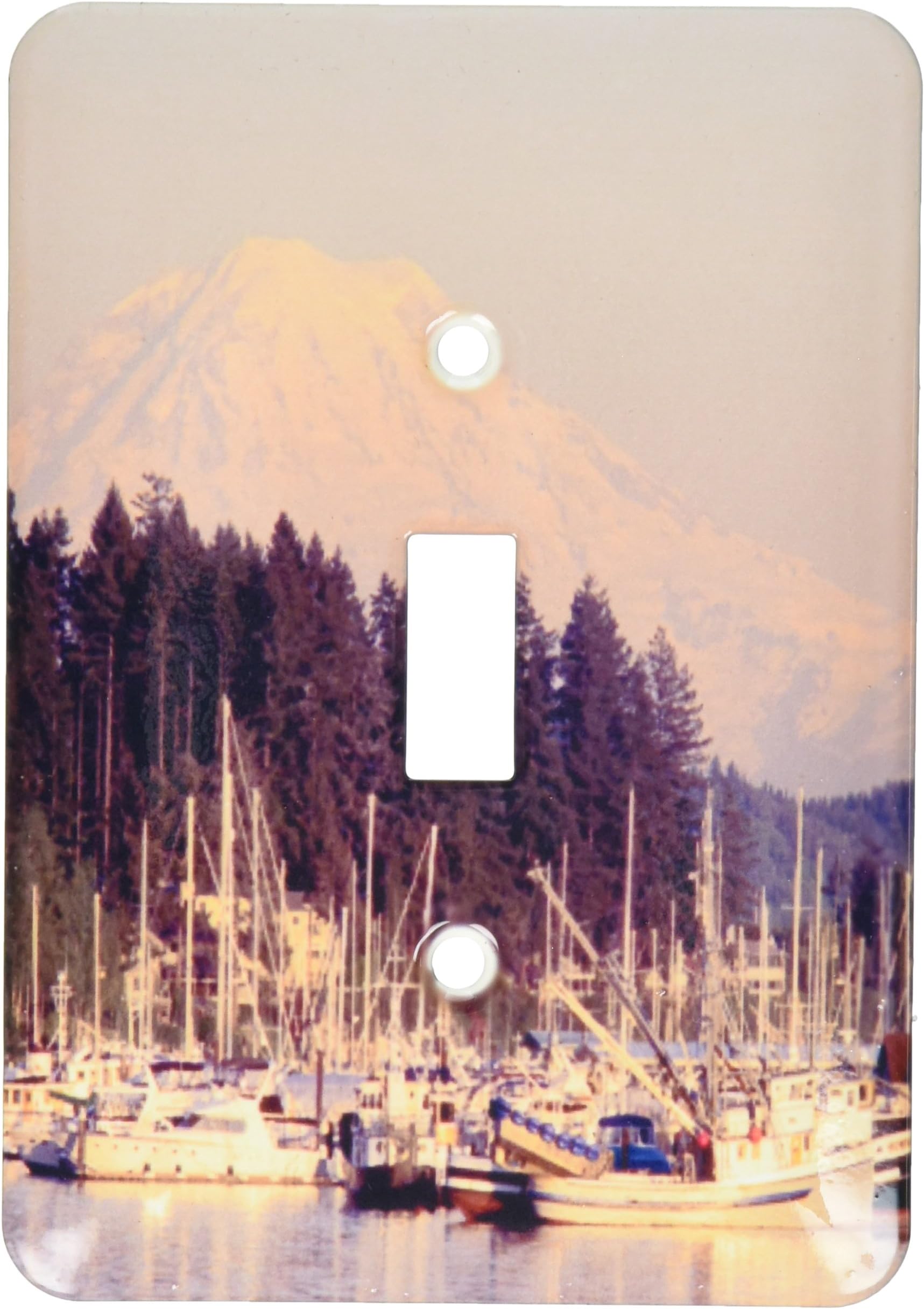 3dRose WA, Gig Harbour, fishing boats with Mt. Rainier - US48 JWI1212 - Jamie and Judy Wild, Single Toggle Switch