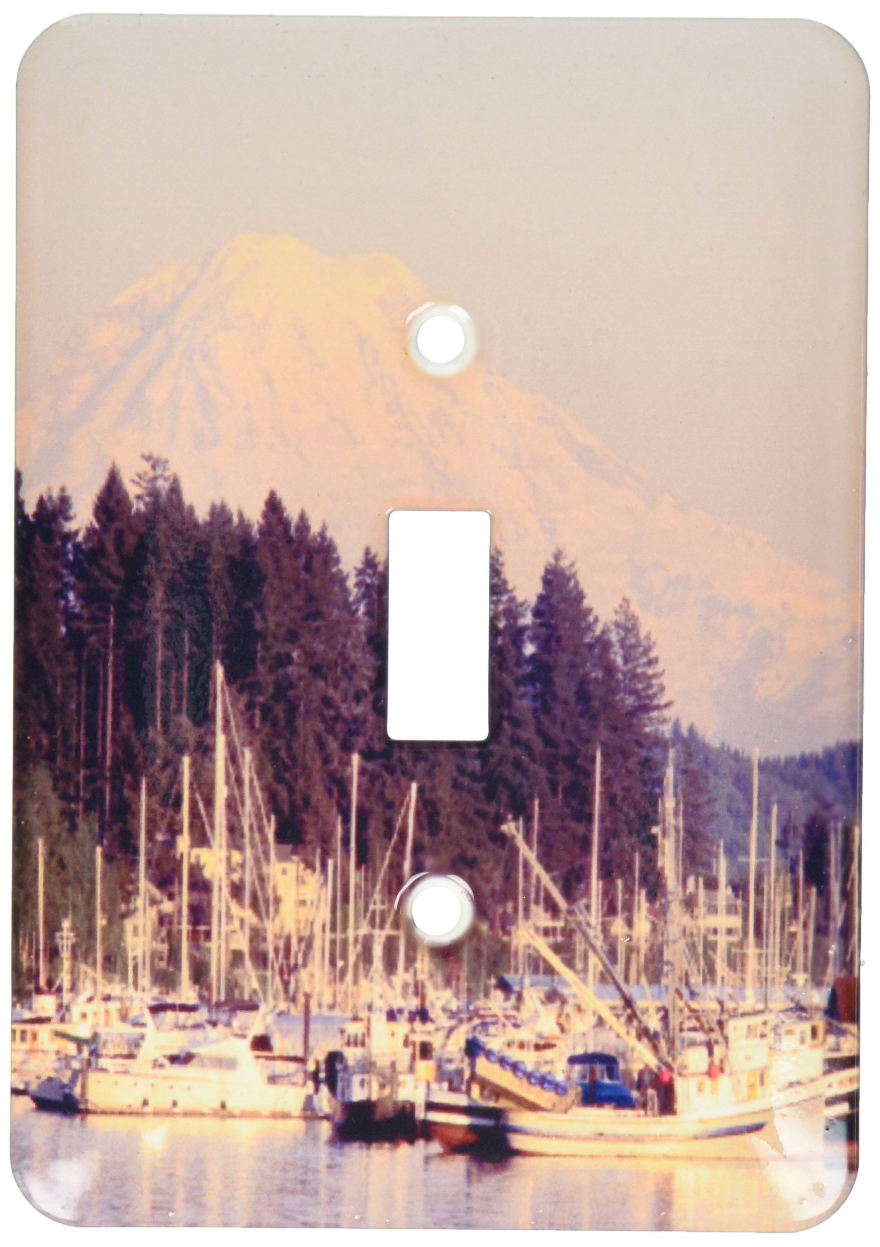 3dRose WA, Gig Harbour, fishing boats with Mt. Rainier - US48 JWI1212 - Jamie and Judy Wild, Single Toggle Switch