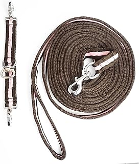 Longe - Juego de gafas de longierbrille para caballos, color a juego perfecto, accesorios para caballos, trabajo en el suelo (marrón y rosa)