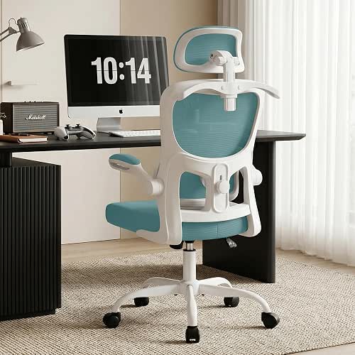 AreShark Office Chair Ergonomic Desk Chairs with Adjustable Lumbar Support&