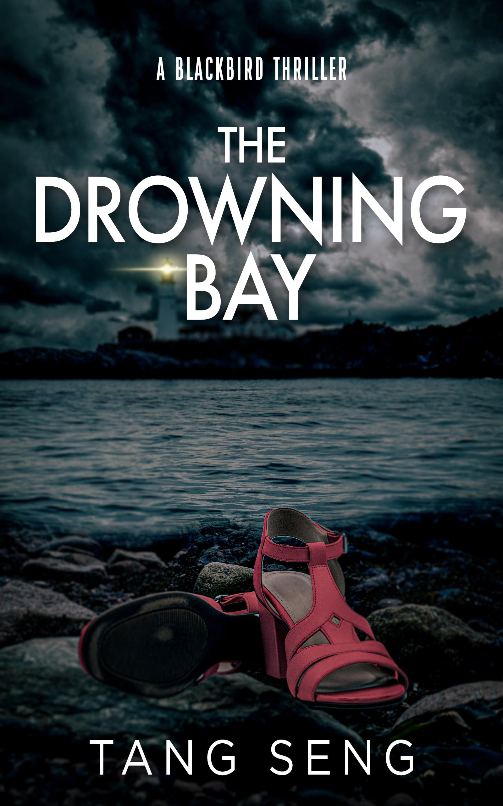 The Drowning Bay (Blackbird Book 1)