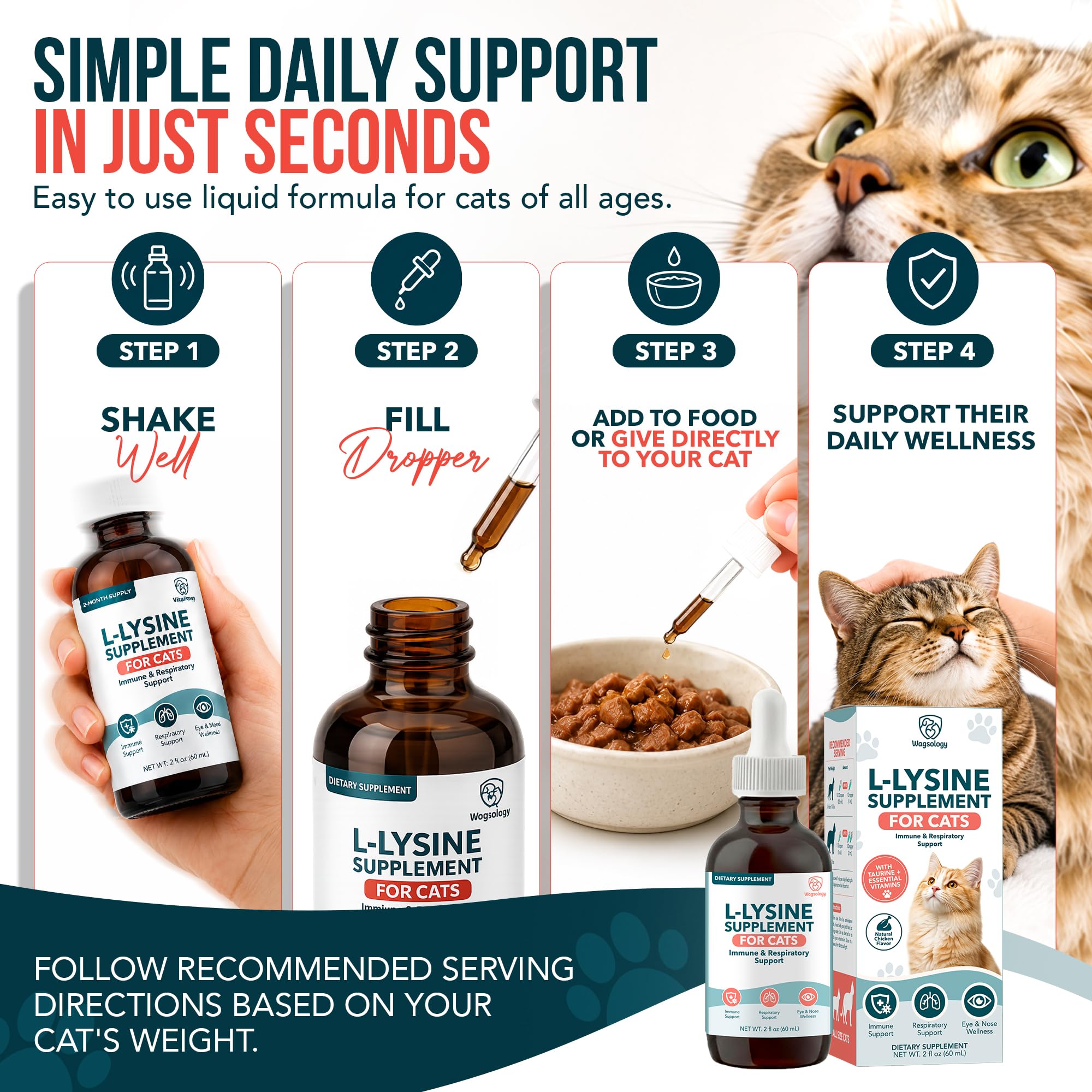 L-Lysine for Cats & Kittens, Cat Lysine Supplement & Cat Allergy Relief for Cats, Immune Support, Respiratory Health, Eye & Nose Wellness, L Lysine Cats Drops, Chicken Flavor (60 ml) — Amazon image 3