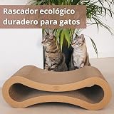 Ver la foto 3