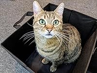 Review Image by A. Cross