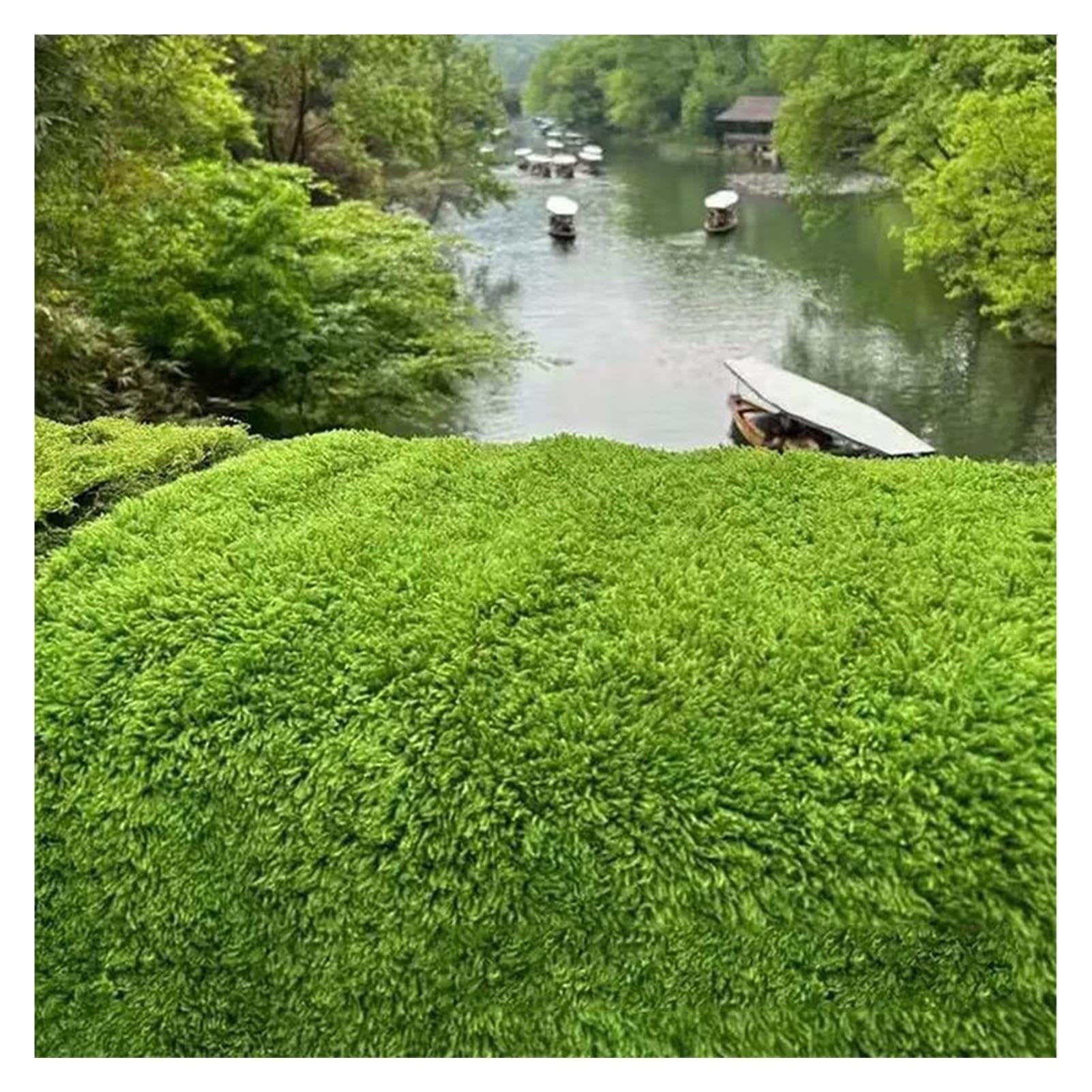 Per Prato Di Piante Verdi Per Giardino Casa Patio Tappeto Muschio