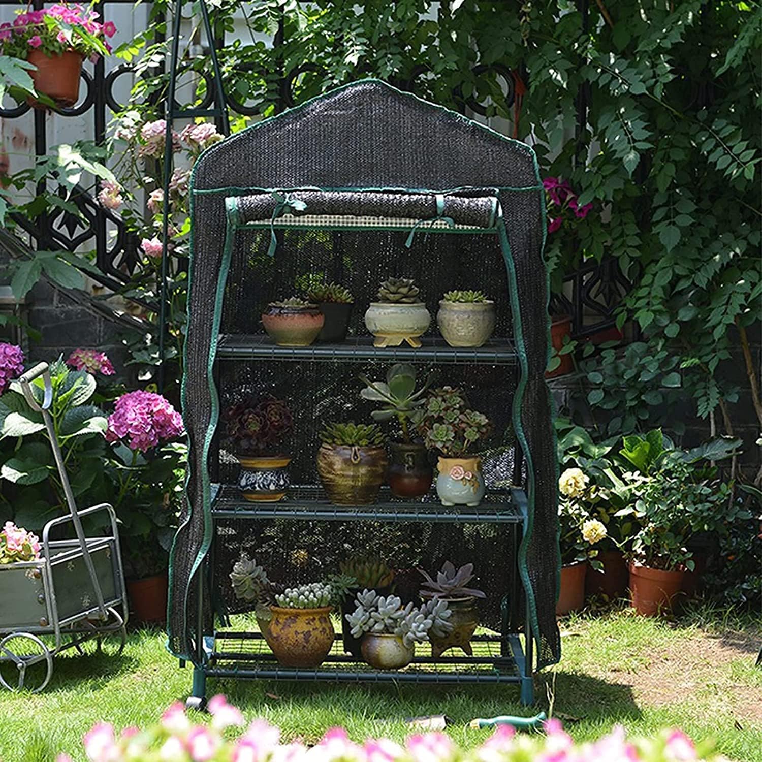 Mini Portable Greenhouse with Steel Frame, Cover and Transparent Zippered Roll-Up Door Plant Shed (Color : Black, Size : 3 Tier)