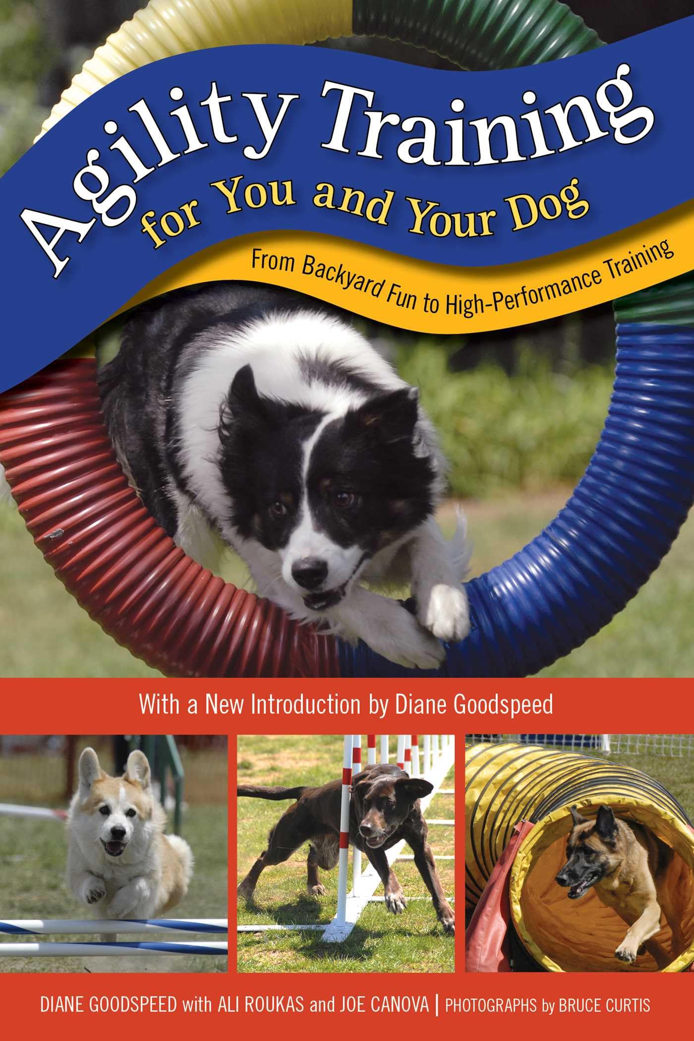 Agility Training for You and Your Dog: From Backyard Fun to High-Performance Training, Second Edition