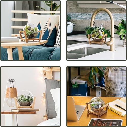 Miniatura 7 de Terrario de plantas de vidrio Monoture con soporte de madera como decoración para suculentas, estaciones de propagación de plantas de escritorio,