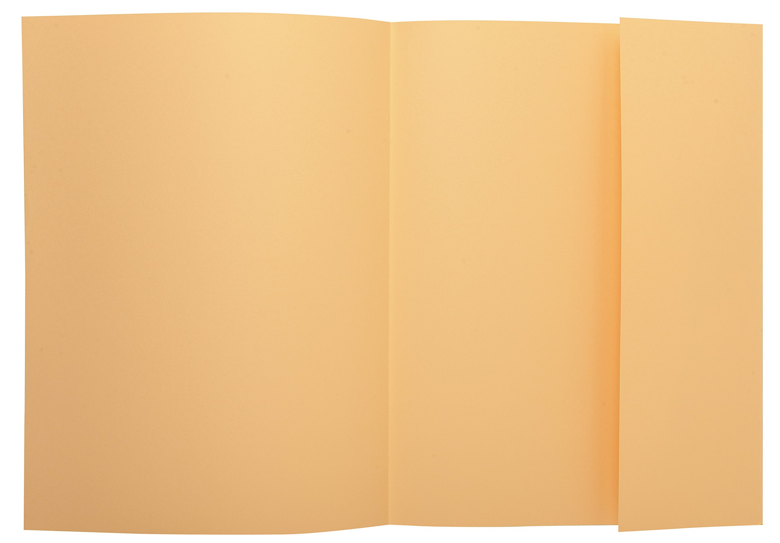 Exacompta, Ref 339002E, Super 210 1-Flap Folders, 240 x 320mm in Size, Suitable for Holding A4 Documents, 210gsm Card - Image 2