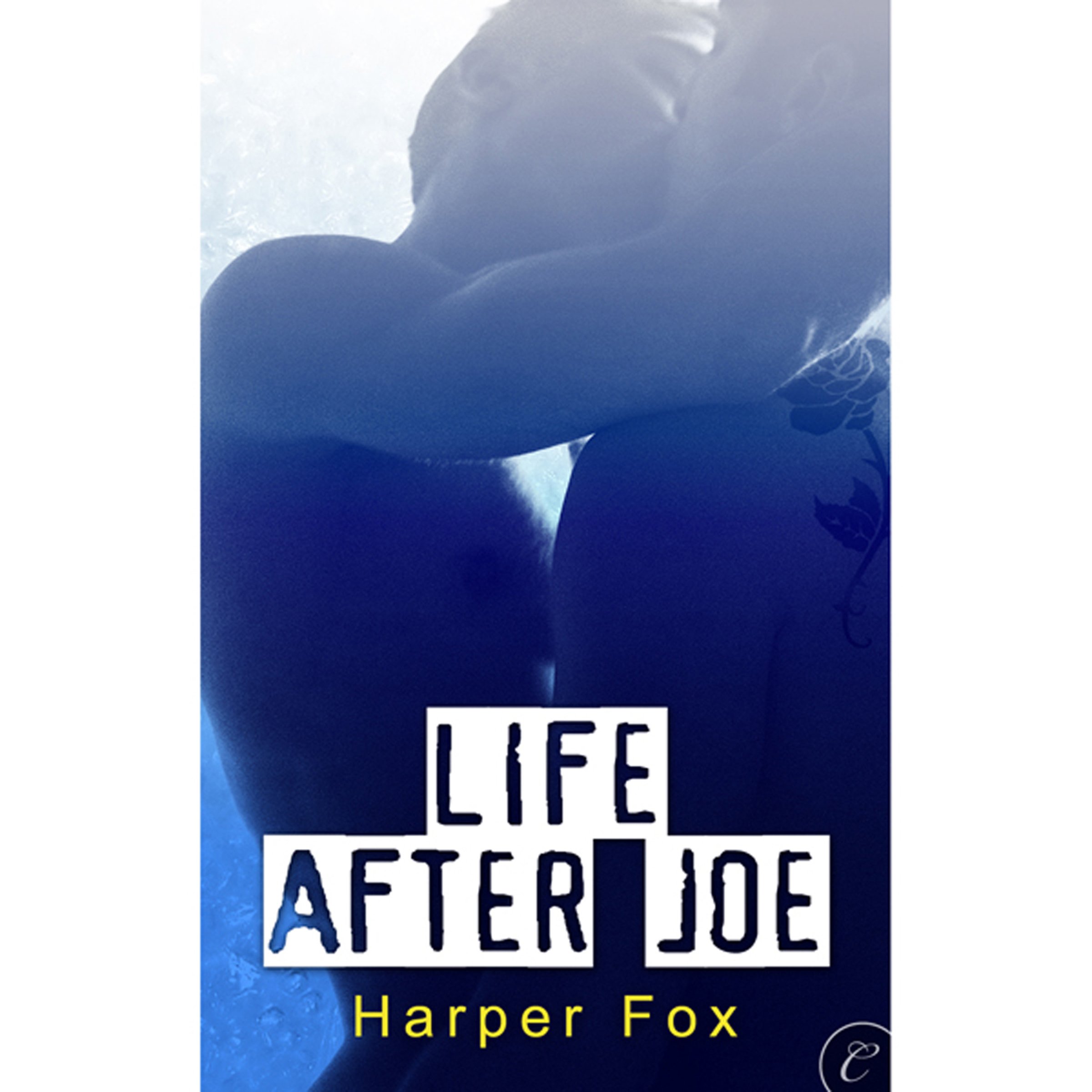 Cover art for Life after Joe