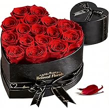 16 Preserved Flowers Rose in a Box, Gifts for Women Mom Her Wife on Mothers Day Valentines Birthday Christmas Anniversary Romantic(Red)