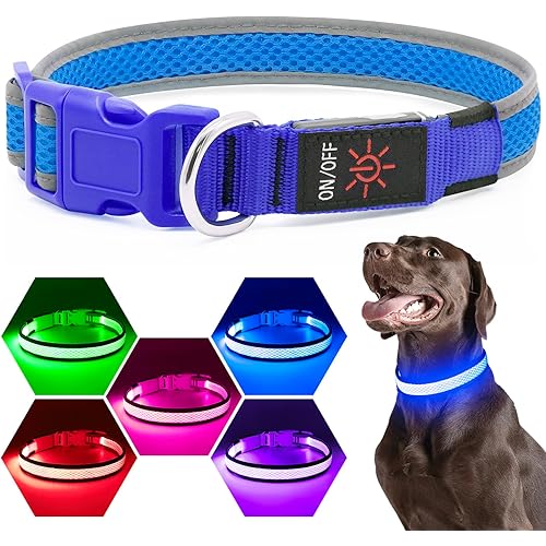 Flashseen LED Dog Collar, USB Rechargeable Light Up Dog Collar Lights, Adjustable Comfortable Soft Mesh Safety Dog Collar for Small, Medium, Large Dogs(Medium, Royal Blue)
