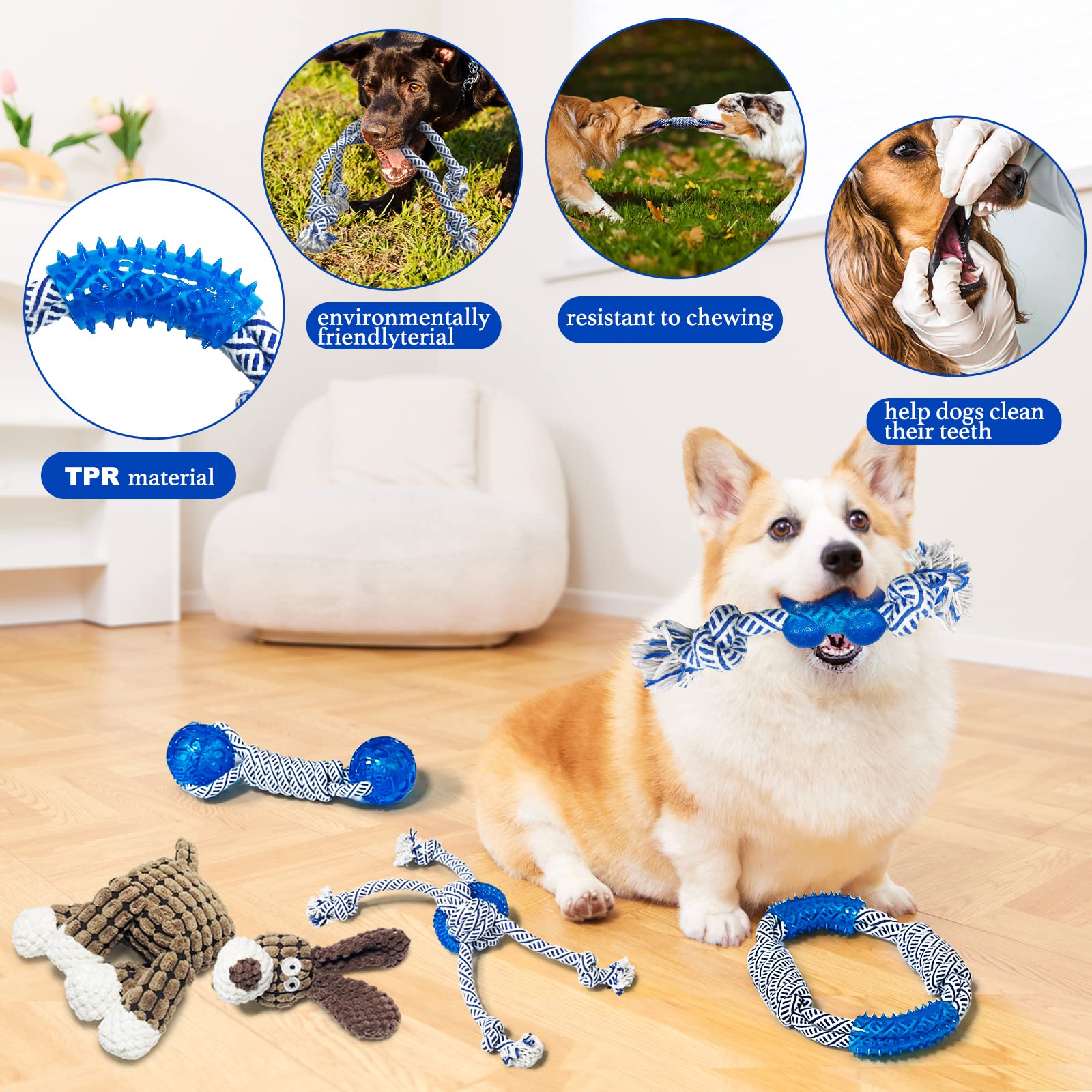 Giocattoli per cani, set da 5 pezzi con giocattoli da masticare e giocattoli da masticare, durevoli giocattoli per cani di piccola taglia, divertenti giocattoli per cani da piccola a media taglia.