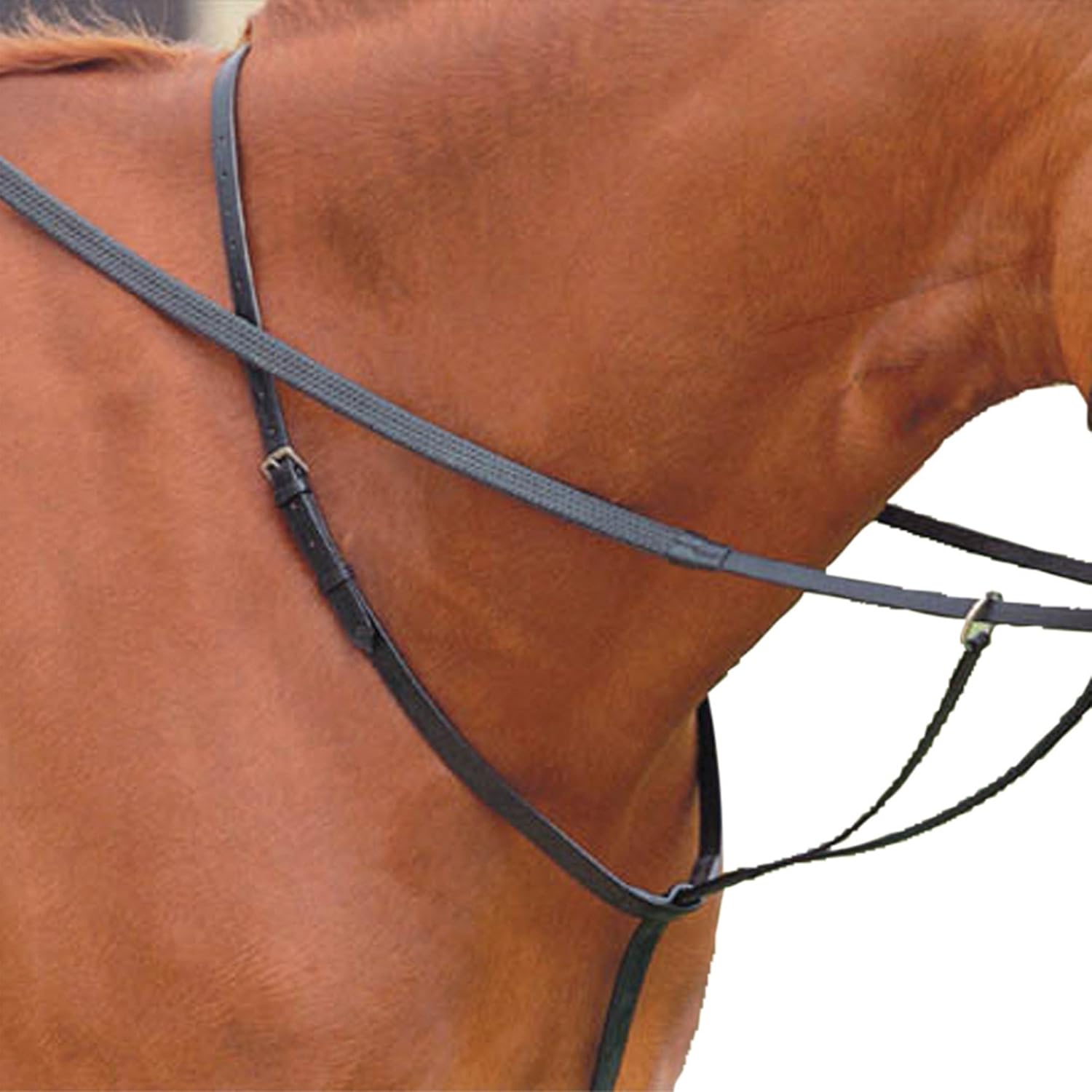 Kincade Running Martingale Pony Brown Sports & Outdoors