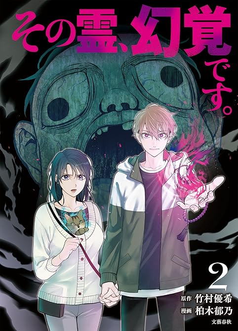 その霊、幻覚です。　２の表紙イラスト