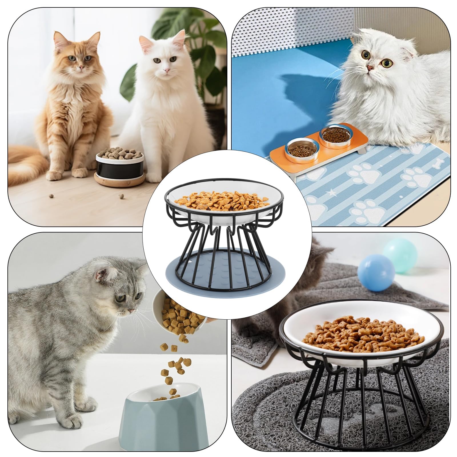 Zijn verhoogde kattenbakjes een goed idee? Vinden katten ze leuk