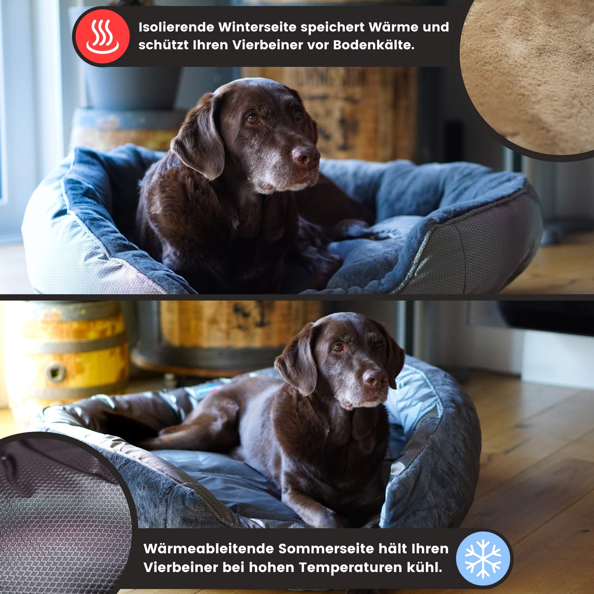 ThermoSwitch Santorini Hundebett Hundekissen Hundekorb Hundematte  Hundematratze wrmend khlend Winter Sommer (M - 60 x 50 x 20 cm,  orange/grau) : Amazon.de: Haustier