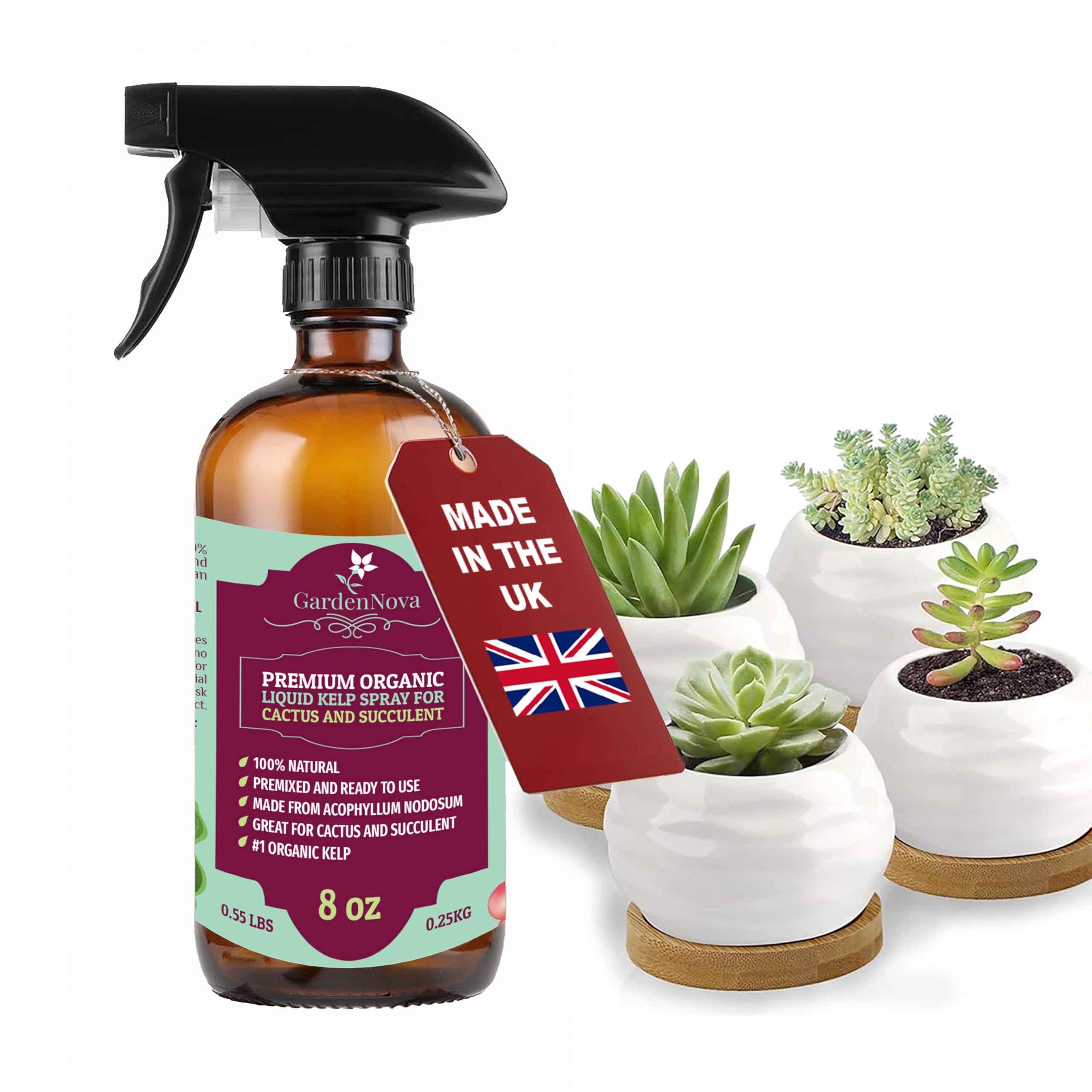 GARDENNOVA Professional Organic Liquid Kelp Spray for Succulents & Cacti Plants - 8 oz - Ready-to-Use Fully Organic Seaweed & Kelp Fertilizer Mist