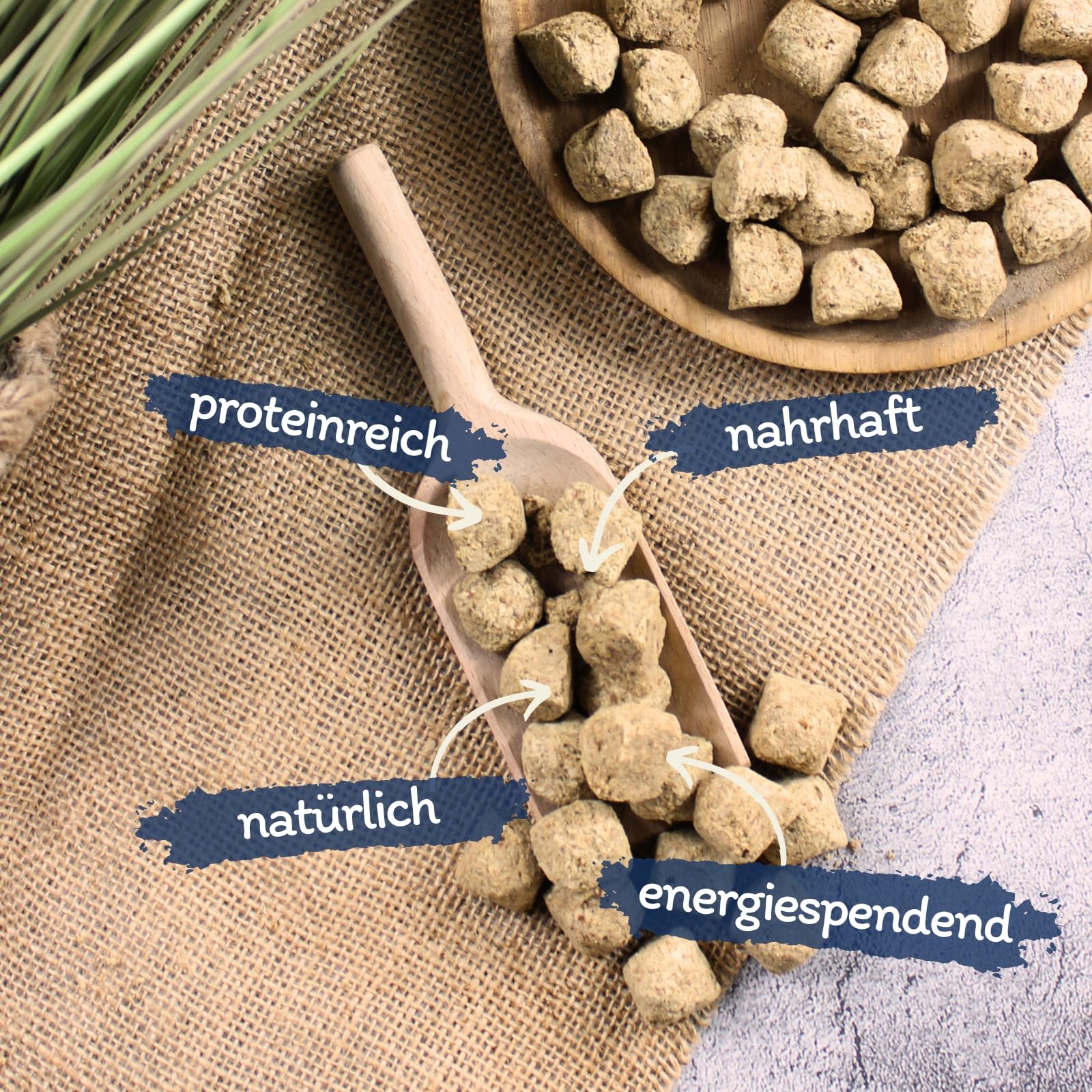 Lyra Pet® 5 kg Artemia Würfel gefriergetrocknet in 30 L Tonne Fischfutter | Futter aus Salinenkrebsen - Reich an Proteinen, Fetten & Ballaststoffen - Natürliche Nahrung für Zierfische & Reptilien