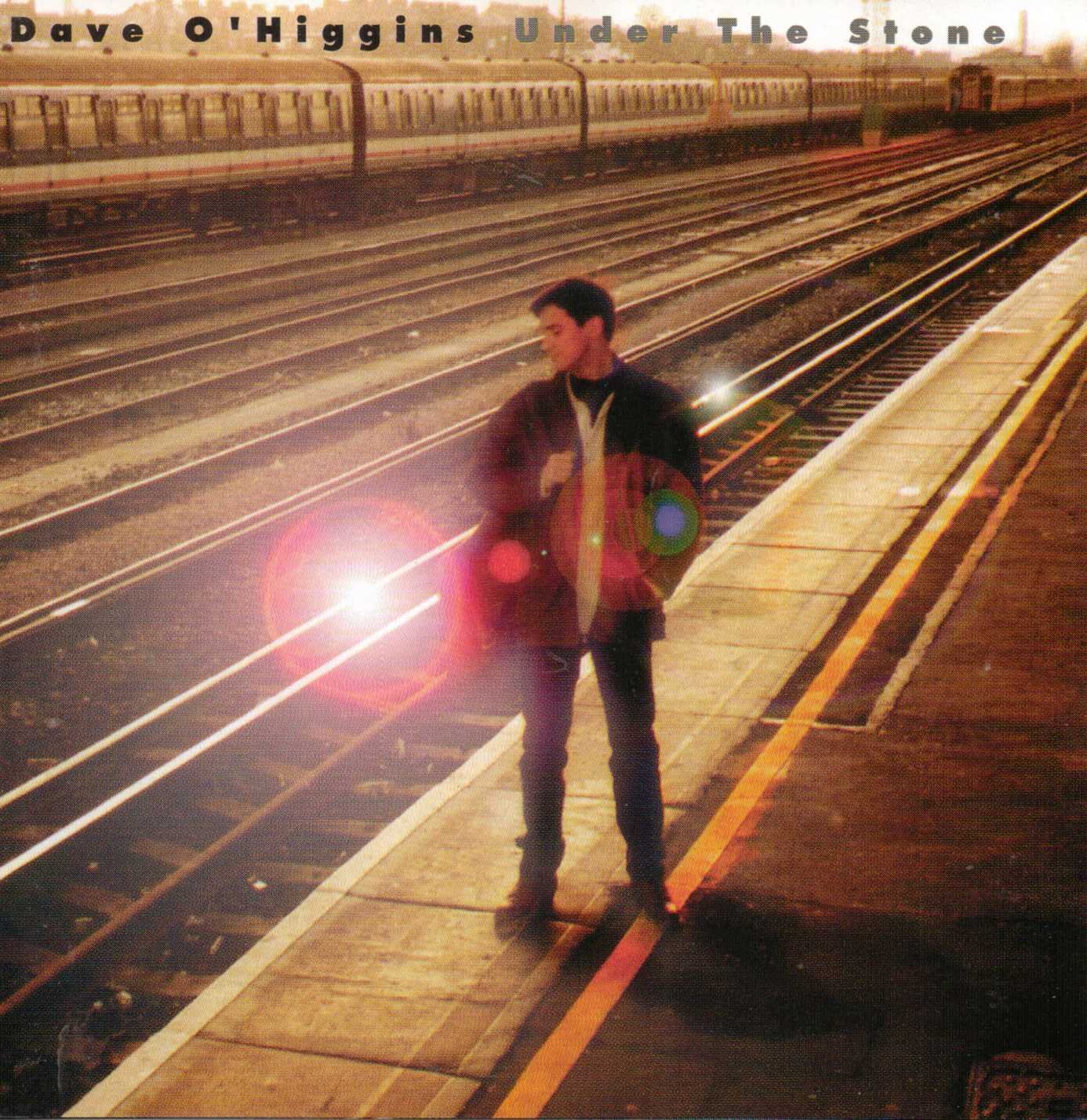 Under the Stone [Audio CD]