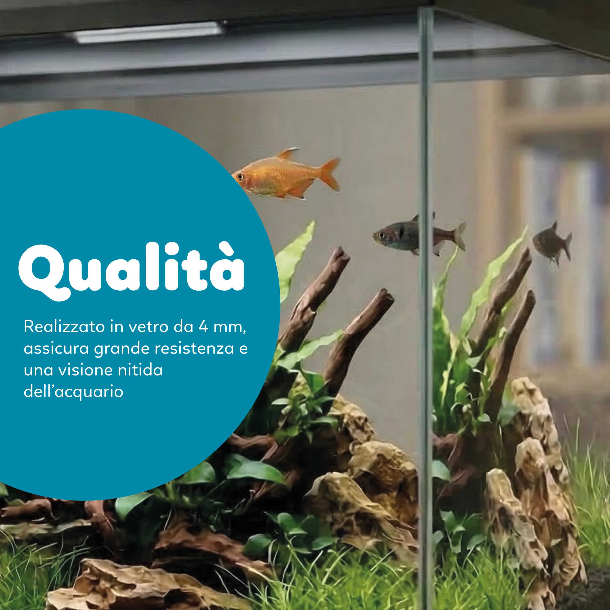 AQPET Acquario in Vetro per Pesci Tropicali Completo di Accessori Filtro Luce Simply, 30 39x22x30 cm 30 Litri