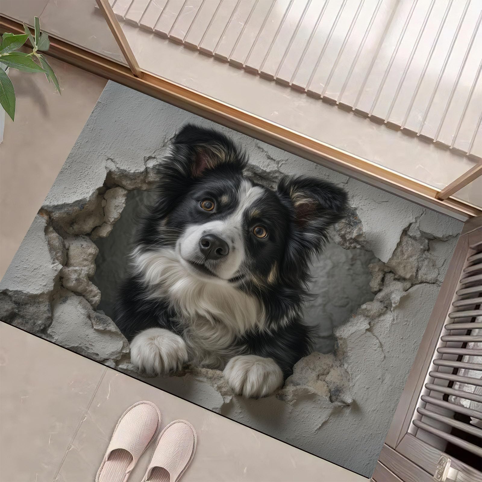 Tapis Border Collie mignon 50x80 cm lavable et antidérapant
