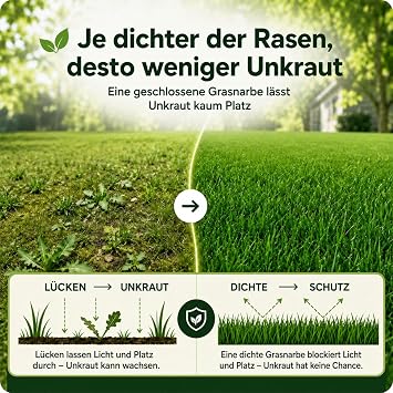 Lawn Seeds for Lawns in Shady Areas 1kg 35m² Sommer für Rasen Neusaat & Nachsaat SEHR GUT getestet Schatten & Halbschatten mit Anleitung