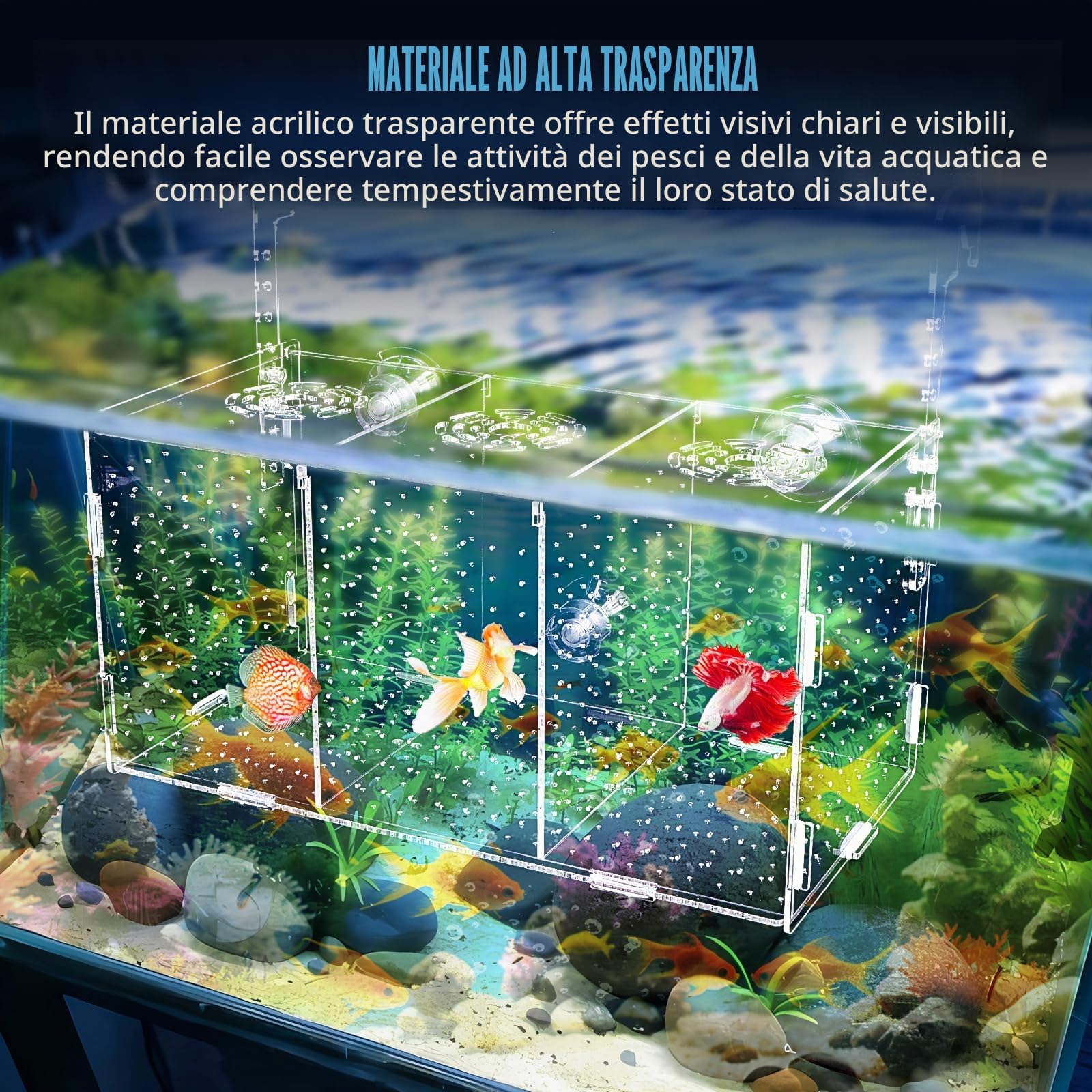Scatola di Allevamento di Pesci d'Acquario, Scatola di Isolamento per Allevamento di Acquario Trasparente in Acrilico Incubatrice Pensili con Ventose per Neonati Gamberetti, 30x15x15 cm