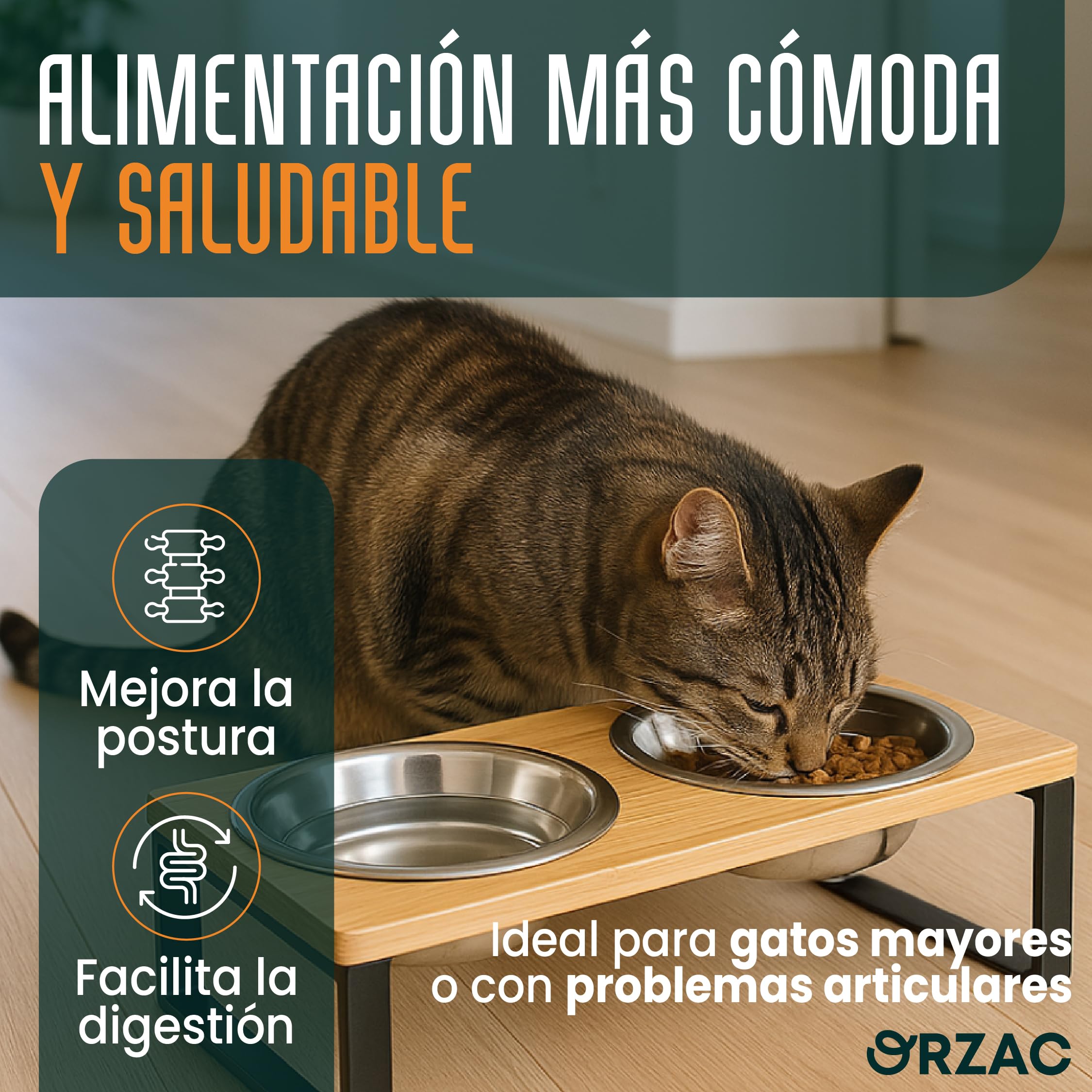 Comedero Elevado para Gatos con 2 Cuencos INOX 400 ml – Bambú Natural Antivuelco – Plato Gato Ergonómico Que Mejora Postura y Digestión + Collar de Regalo
