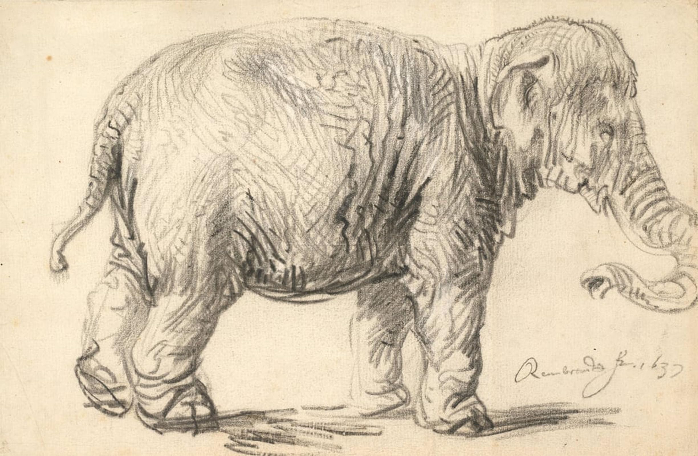 Impression Tableaux Graffiti éléphant Rembrandt mélange classique et moderne - 5
