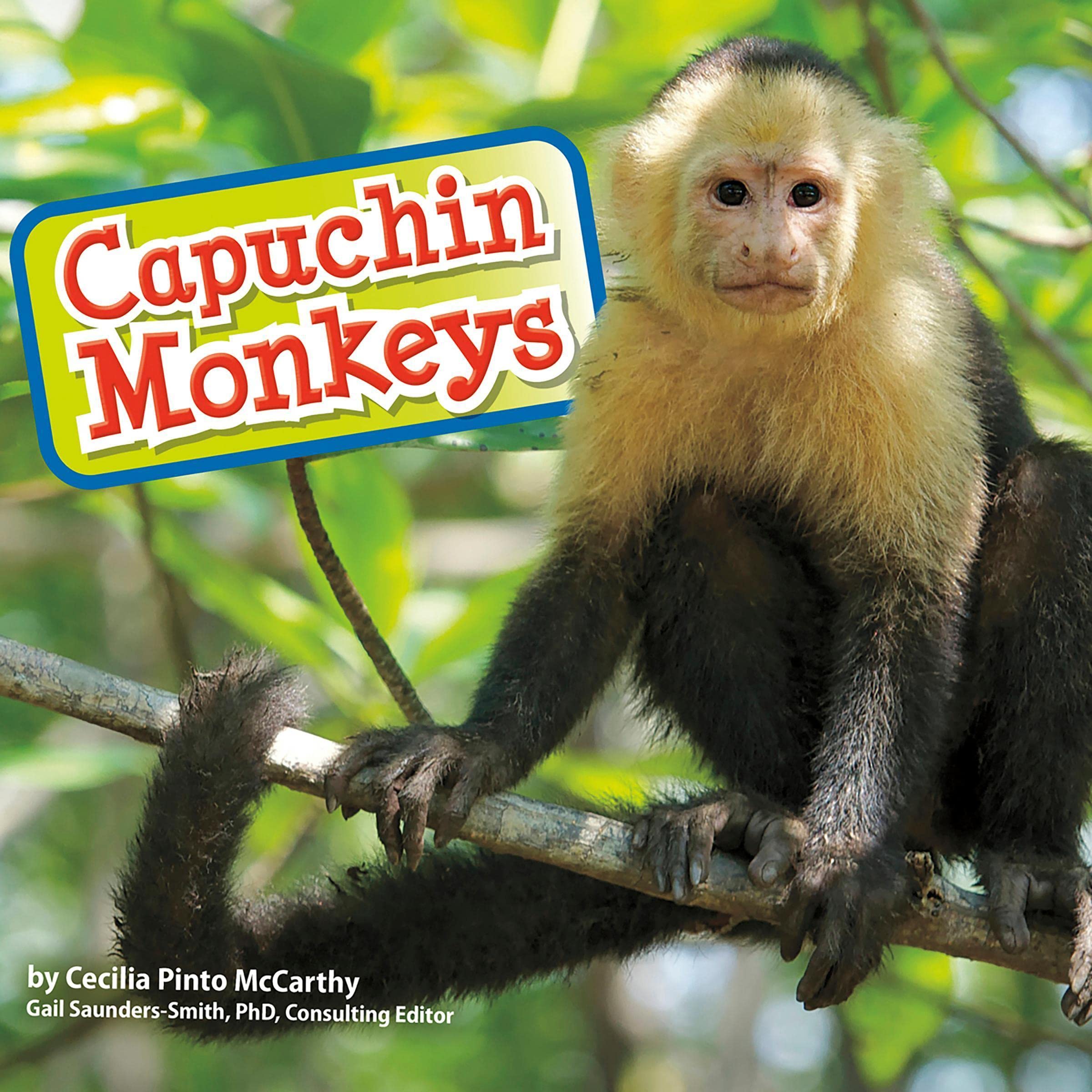 Capuchin Monkeys: Monkeys