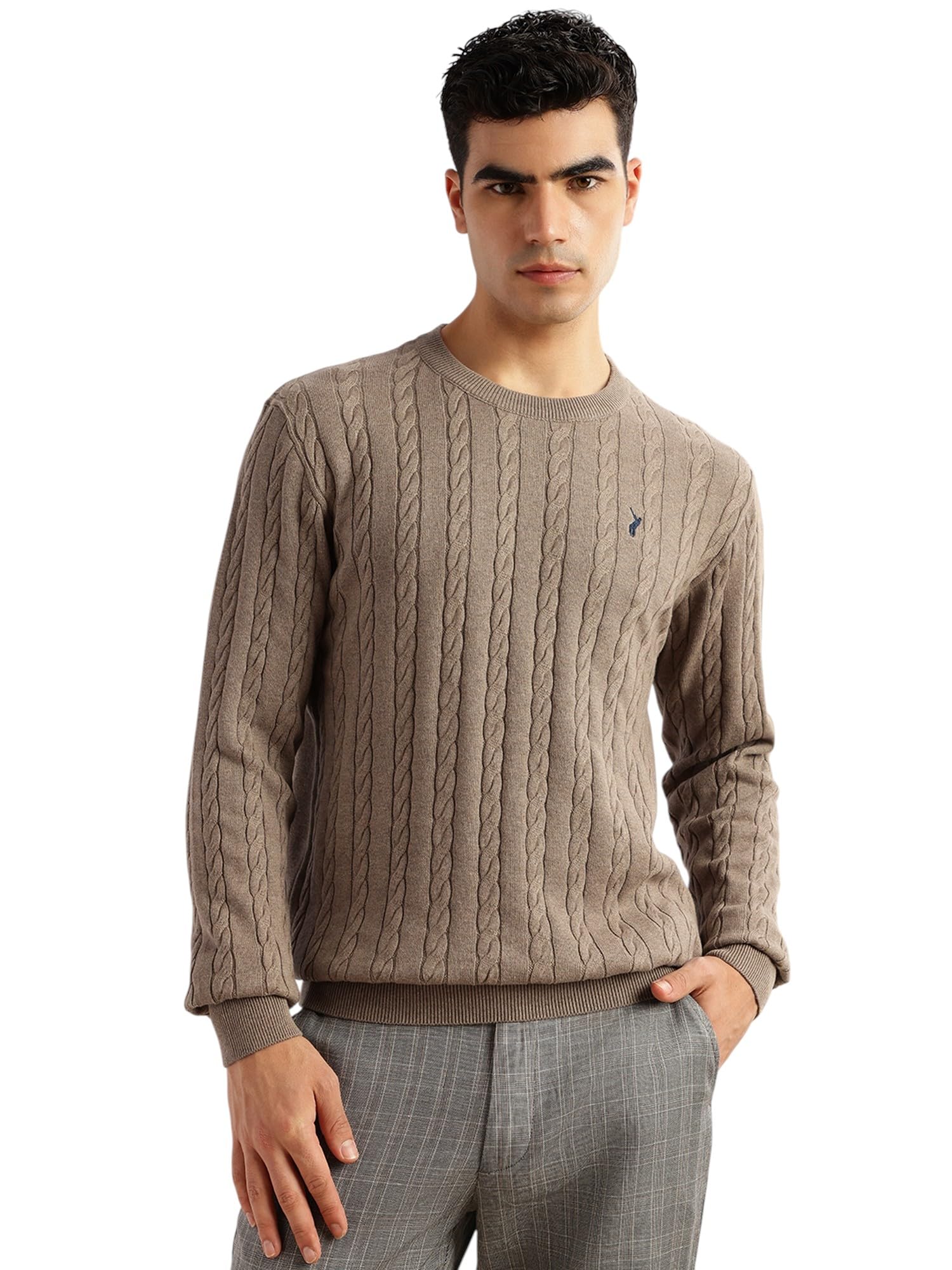 thomas scott Men's | Regular Fit | Long Sleeves | Round Neck | Self Design | 100% Cotton | Knitted | Pullover | Sweater-picture-15