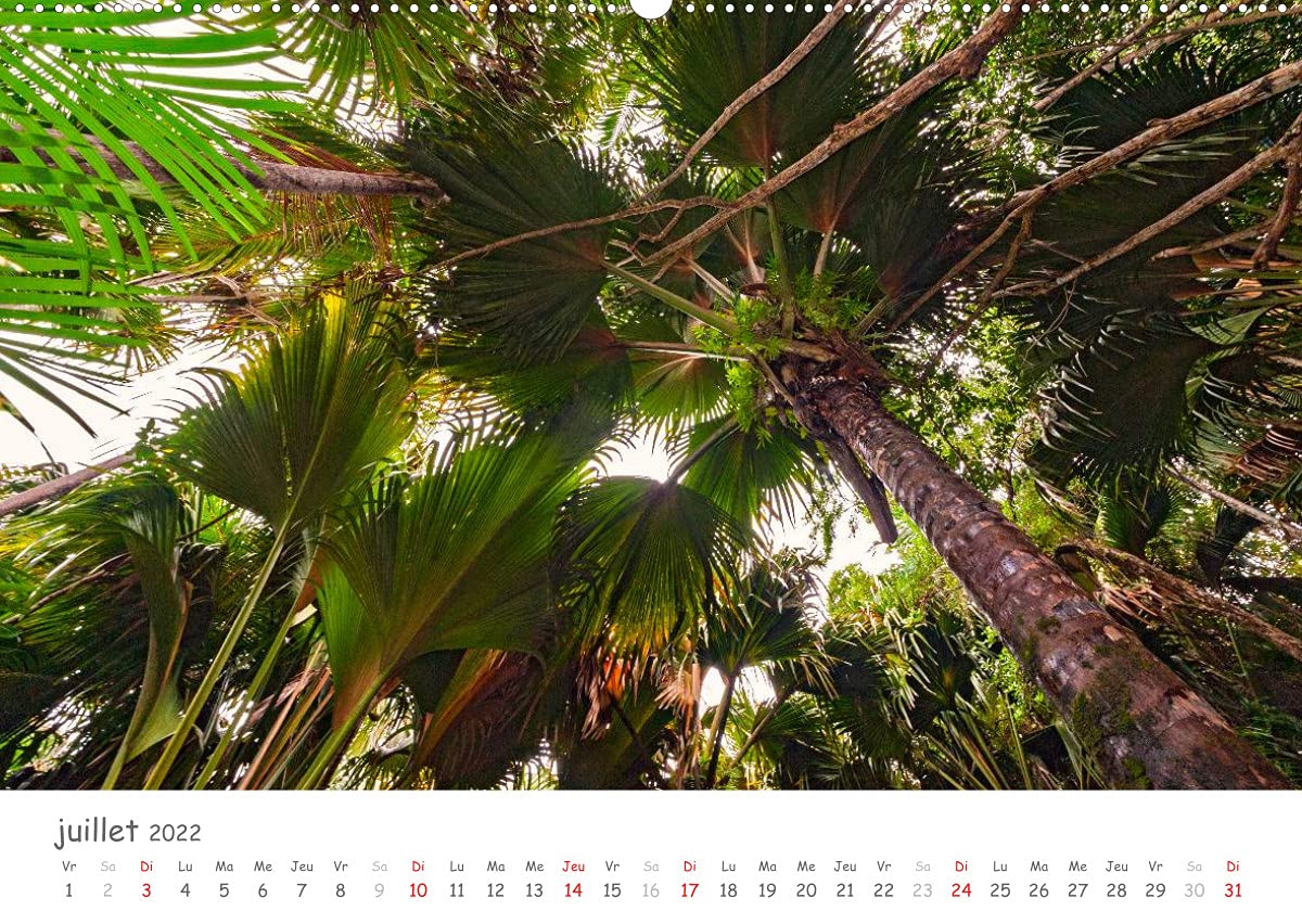 Paysages des Seychelles (Premium, hochwertiger DIN A2 Wandkalender 2022, Kunstdruck in Hochglanz): Les curiosités des Seychelles (Calendrier mensuel, 14 Pages )