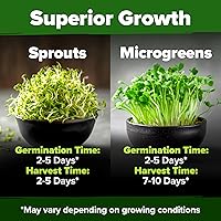 Vista 5 de HOME GROWN Semillas de brote de alfalfa sin OMG, 16 oz (453.6 g) Paquete a granel con miles de semillas de alfalfa para brotes y microgreens