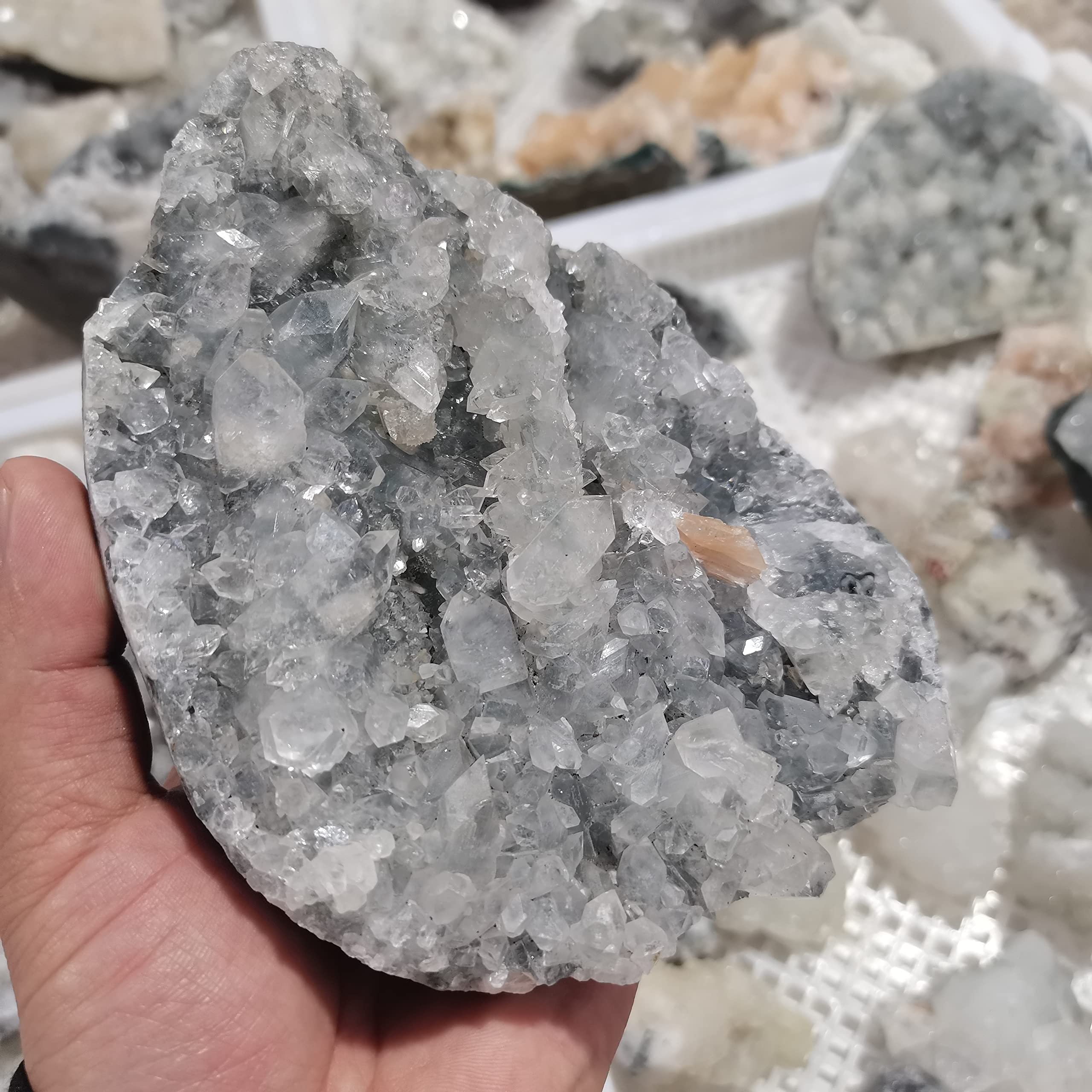 ぶどう石、魚眼石(494g、美標本)