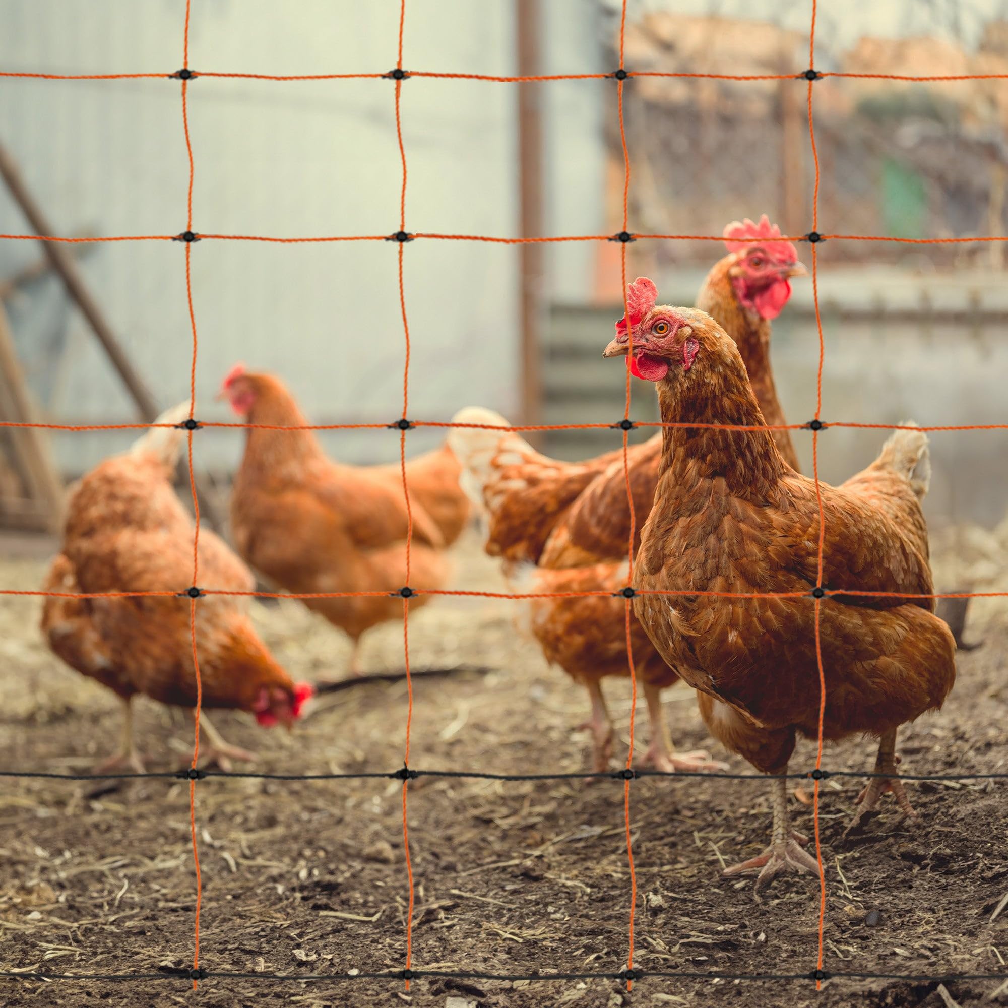 Malla Eléctrica para Aves de Corral 50m Conductora | 1.2m de Altura | Polietileno con Alambre de Acero Inoxidable | 14 Estacas Dobles + 10 Estacas de Tierra extra | Kit de Reparación INCLUÍDO