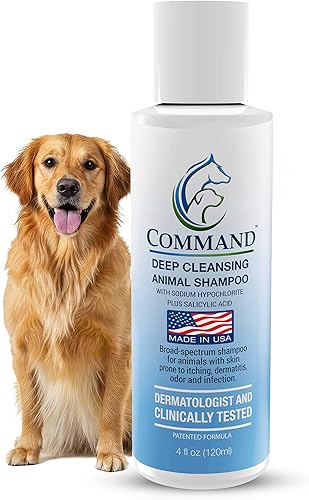 Champú medicado hipoalergénico para perros con ácido salicílico, piel y cabello sensibles, con picazón y lavado y eliminador de olores (4 onzas)