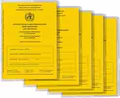 Lot De 3 Passeports Vaccination + Porte-Badges | Format Passeport 93x130mm | Trilingue (DE/EN/FR) | Coque Protection